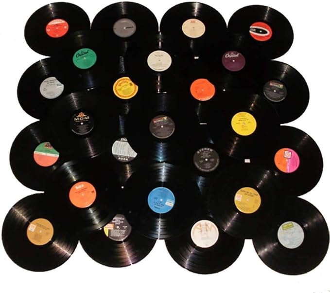 VinylShopUS - Lot of 12" Vinyl Records for Crafts & Decoration Artwork for Party Decor Artist Studio Vintage Look (Lot of 10)