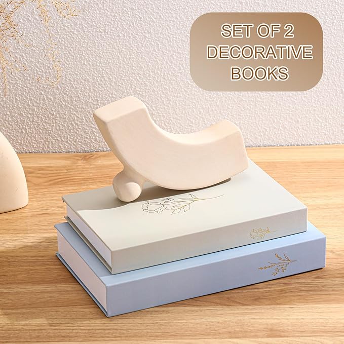Cinnvoice Set of 2 Aesthetic Decorative Books Boxes, Faux Books Stacked for Decoration for Coffee Tables Modern Home Bookshelves Decor, Fake Fashion Photo Storage Boxes(Baby Blue Beige)