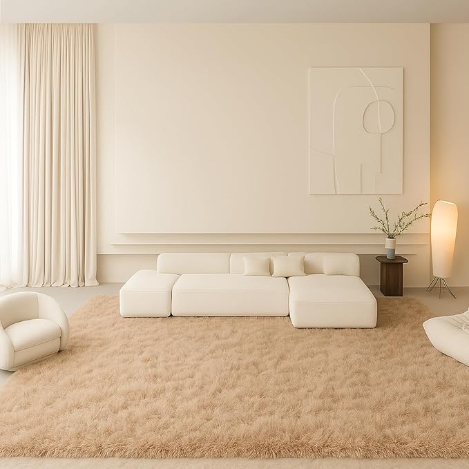 Fluffy Plush Shag Rug 5x7, Ultra Soft Rug for Living Room Bedroom, Non-Slip Fuzzy Area Rug for Living Room, Carpet for Girl Boy Kids,Modern Indoor Home Decor Aesthetic,Beige
