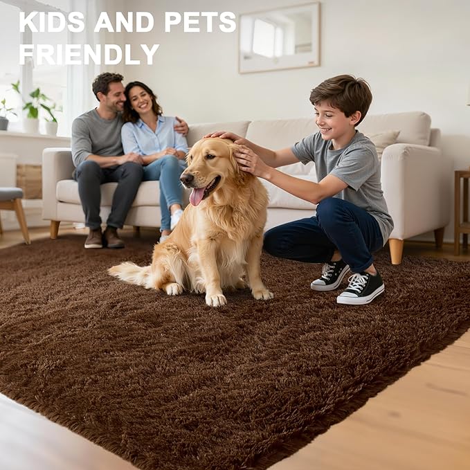 Fluffy Area Rugs for Bedroom - Soft Plush Shag Rug for Living Room Nursery Kids Room - Non Slip Fuzzy Shaggy Floor Carpets for Girls Boys Play Room Dorm Decor (Brown, 5' x 7')