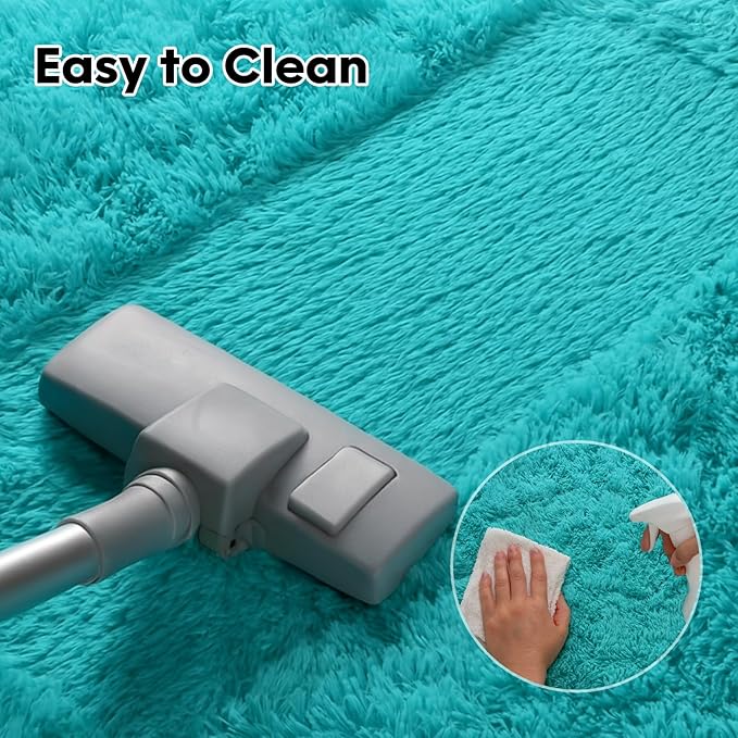 Fluffy Plush Shag Rug 5x7, Ultra Soft Rug for Living Room Bedroom, Non-Slip Fuzzy Area Rug for Living Room, Carpet for Girl Boy Kids,Modern Indoor Home Decor Aesthetic,Teal Blue