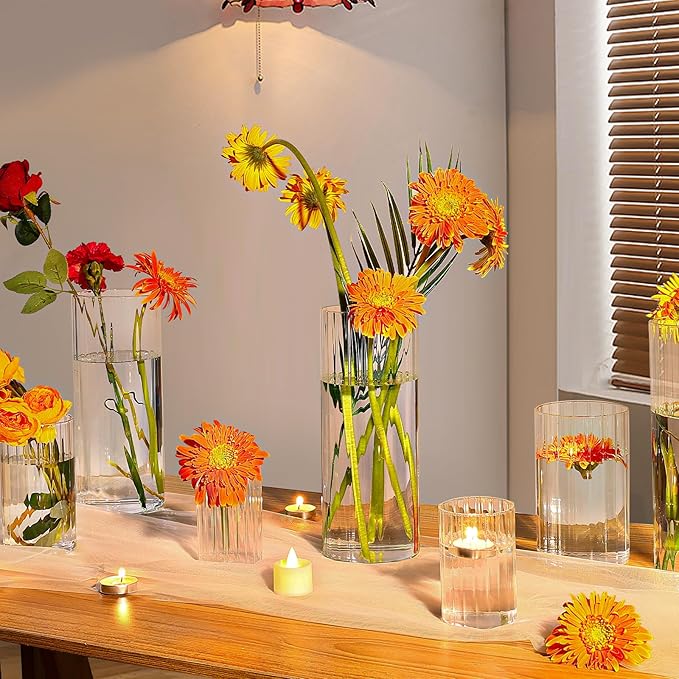 6 Pack Ribbed Glass Cylinder Vases 4,6,10 Inch Tall Clear Flower Vase Hurricane Floating Candle Holder for Table Centerpiece Wedding Home Decor