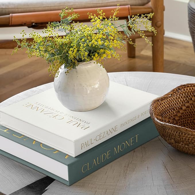 Aesthetic Decorative Books - Coffee Table Books Decor - Faux Decor Book Storage Box for Decoration - Set of 2 Linen Fake Book for Home Table Decors - Photo Storage Keepsake Box