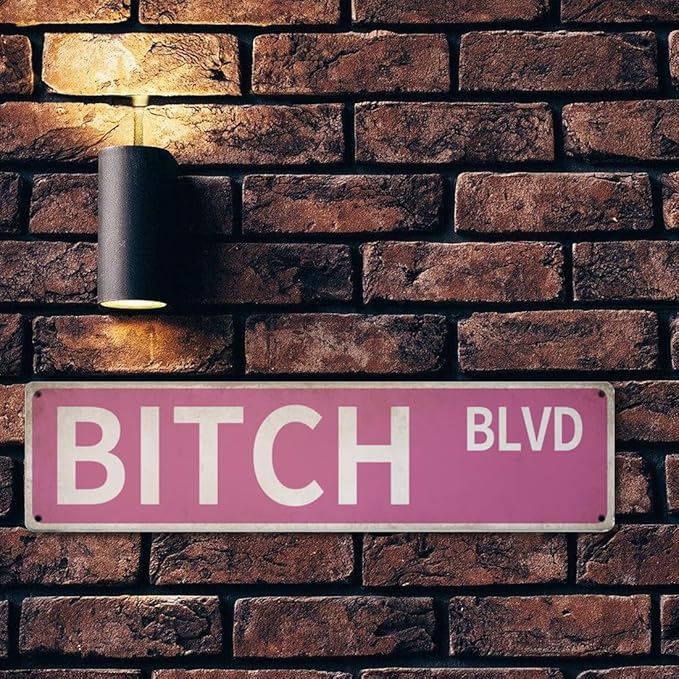 "Bitch Blvd" Pink Wall Decor Aesthetic – 16x4″ Sassy Street Signs for Bedroom | Metal Y2K Posters Decorations for Downtown Girl Room Girly Bedroom Teen College Dorm, 2367