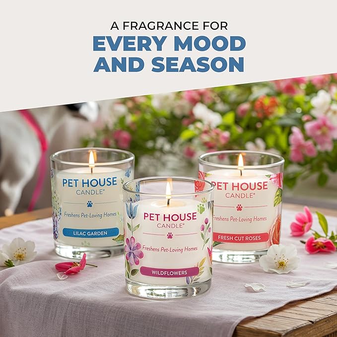 Pet House Candles, Clean Long-Burning, Scented Pet Friendly Candles, Plant-Based, 60 Hour Burn Time - Ocean Driftwood, 9 oz, 2 Pack