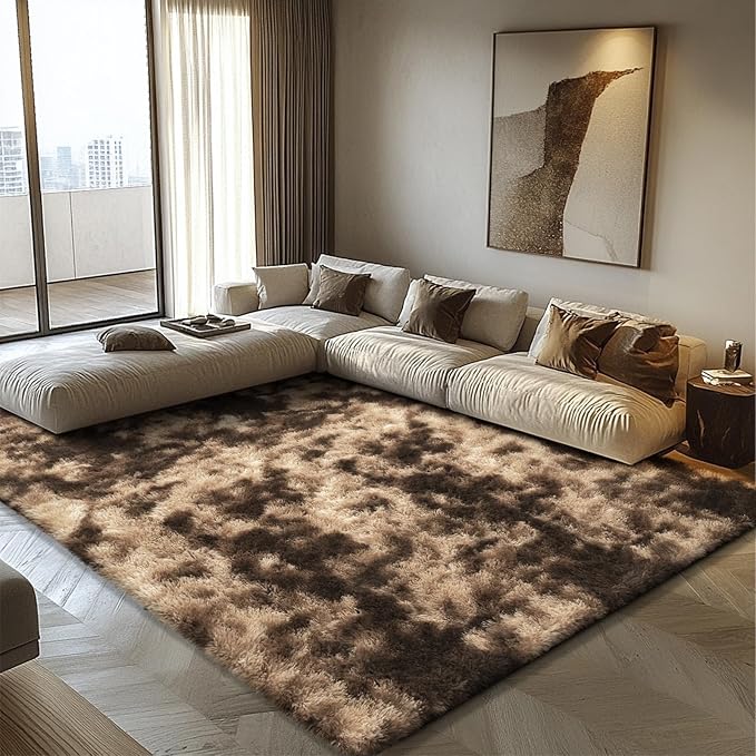 6x9 Fluffy Area Rug for Living Room,Shag Area Rugs for Bedroom,Soft Fuzzy Rug Non-Shedding Indoor Plush Carpet for Kids Bedroom Nursery Dorm Home Decor,Tie-Dyed Coffee