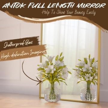 Antok Arched Full Length Mirror, 58"x21" Gold Metal Frame Floor Mirror for Bedroom Living Room, Freestanding/Wall Mount/Leaning