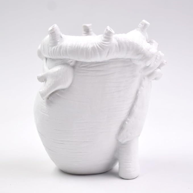 Small Human Heart Organ Shape Pen Holder Home Office Desk Storage Resin Decor, Makeup Brush Holder, 4.1" x 3.5", White