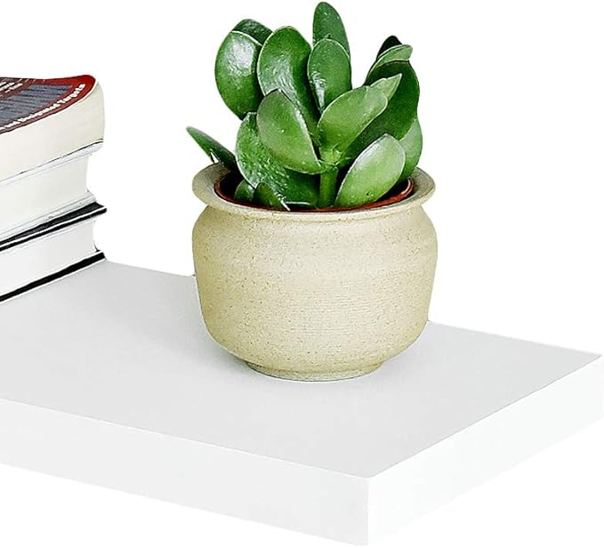 WELLAND Set of 2 Floating Shelves Wall Mounted Shelf, for Home Decor with 8" Deep (White, 15 inch)