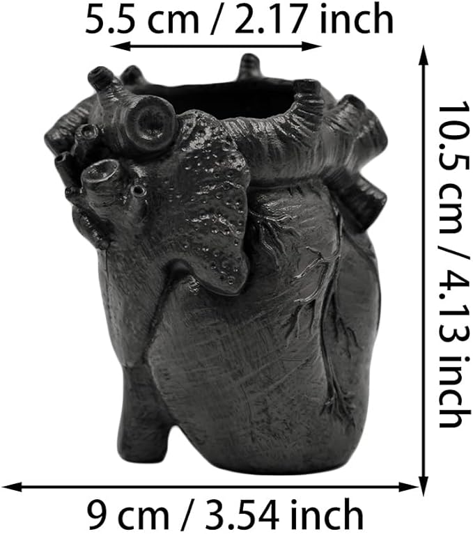 Small Human Heart Organ Shape Pen Holder Home Office Desk Storage Resin Decor, Makeup Brush Holder, 4.1" x 3.5", Black