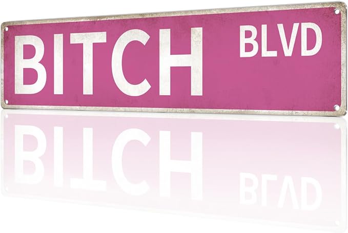 "Bitch Blvd" Pink Wall Decor Aesthetic – 16x4″ Sassy Street Signs for Bedroom | Metal Y2K Posters Decorations for Downtown Girl Room Girly Bedroom Teen College Dorm, 2367