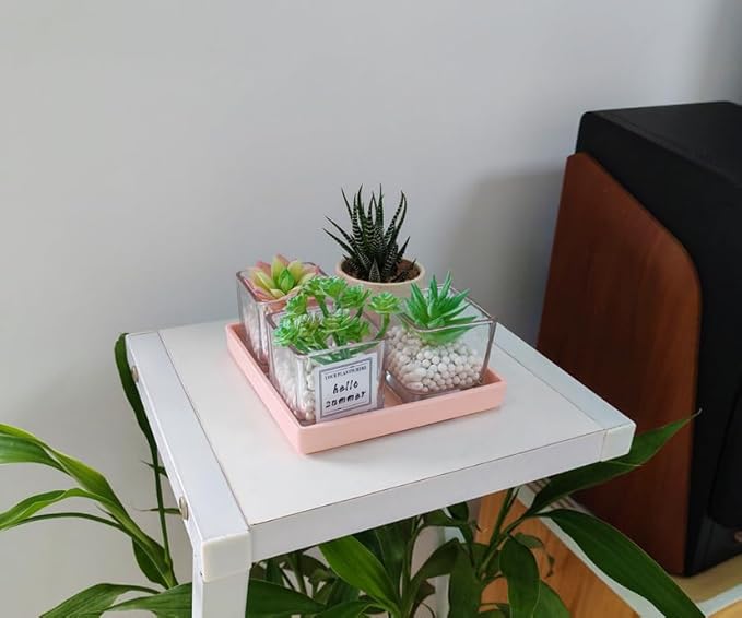 Small Square Serving Tray (5.9 inch), Durable Pink Tray for Desserts & Organization, Lightweight for Coffee, Drinks, Party, Seasoning, Perfume and Display.