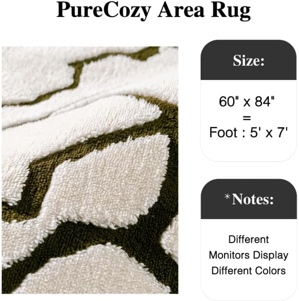 PureCozy Super Soft Shag Rug 5x7 for Living Room Modern White Washable Large Area Rugs High Pile Non-Shedding Throw Rugs Non Slip Indoor Office Carpet for Playroom Bedroom Home Aesthetic Decor