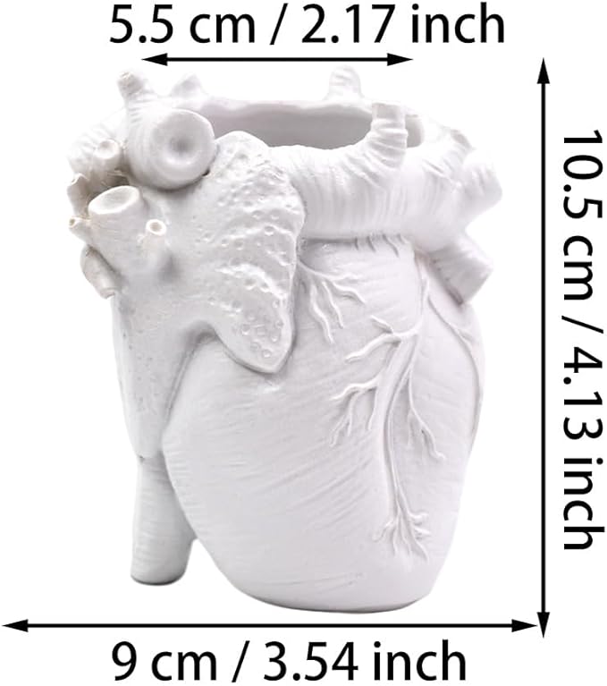 Small Human Heart Organ Shape Pen Holder Home Office Desk Storage Resin Decor, Makeup Brush Holder, 4.1" x 3.5", White