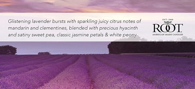 Root Candles Scented Candles Honeycomb Veriglass Premium Handcrafted Beeswax Blend Candle, Large, Lavender Vanilla