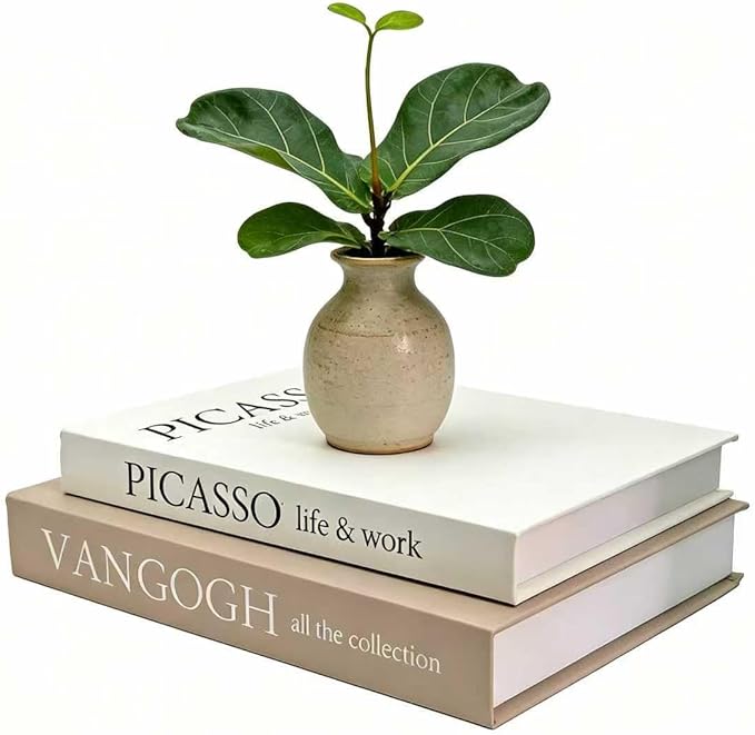 Set of 2 Decorative Books - Linen Faux Fake Books for Decor Aesthetic, Decorative Book for Coffee Table,Bookshelf,Office Table, Home Decor, Fake Book Storage Box for Trinkets Photo-BB002-2PCS