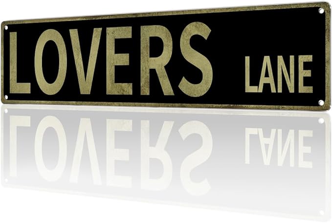 “Lovers Lane" Y2K Room Wall Decor Aesthetic –16x4″ Vintage Street Signs for Bedroom | Sassy Posters Decorations for Downtown Girl Room Girly Bedroom Teen College Dorm, 2368