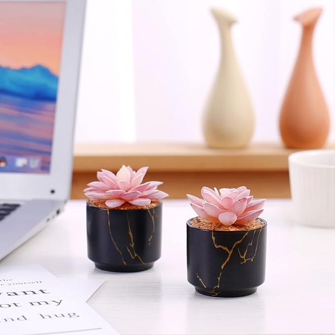 ZENIDA Succulent Artificial Plants,Cute Fake Succulents in 2 Black Ceramic Pots,Small Fake Plants for Office,Table,Desk,Bathroom, Bedroom,Aesthetic Room Shelves Decor,Desk Decorations for Women Office