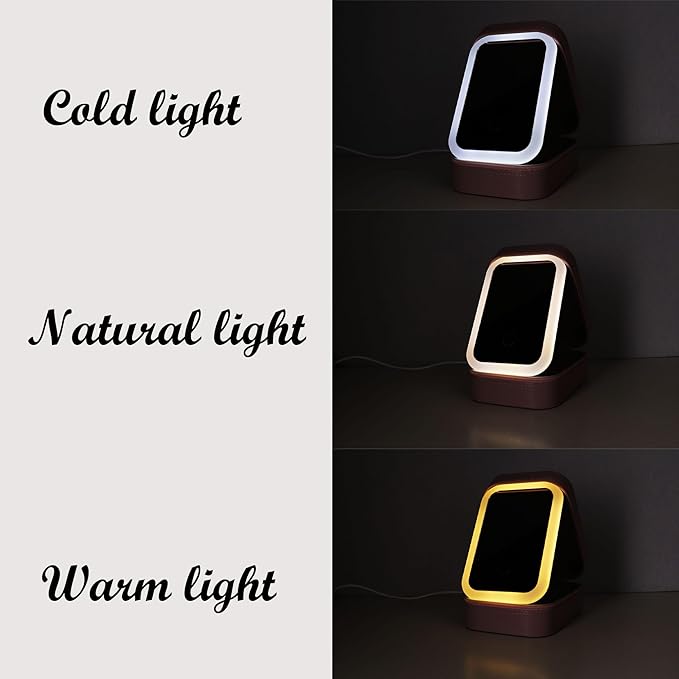 Personalized Birth Flower Travel Jewelry Box with Mirror Custom Name Travel Makeup Case with Led Mirror Small Travel Jewelry Case Organizer with Light Up Mirror for Women Mom
