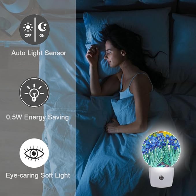 Blue Flower Oil Painting Night Light Plug Into Wall Auto Led Sleep Round Lamp for Living Room Hallway Stairs