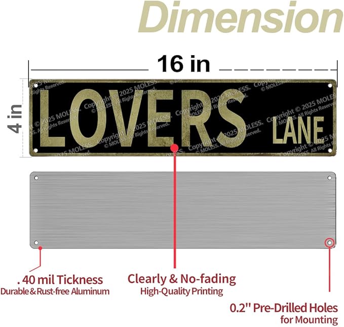 “Lovers Lane" Y2K Room Wall Decor Aesthetic –16x4″ Vintage Street Signs for Bedroom | Sassy Posters Decorations for Downtown Girl Room Girly Bedroom Teen College Dorm, 2368