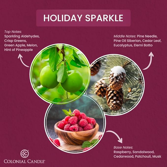 Colonial Candle Holiday Sparkle Scented Jar Candle, Pop of Color Collection, 3 Wick, Purple, 14.5 oz - Up to 60 Hours Burn