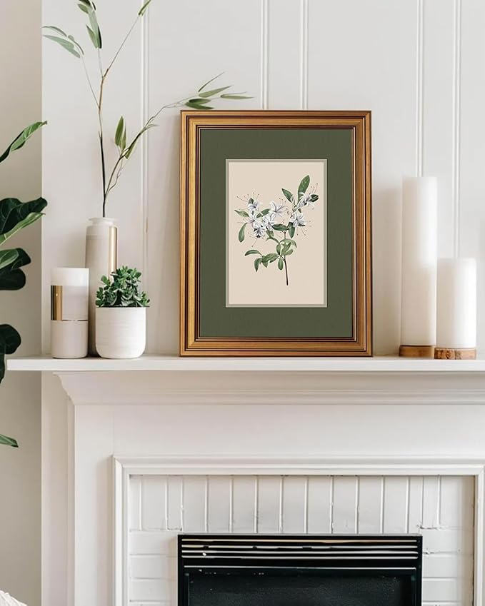 InSimSea Gold Framed Canvas Prints Wall Art, Vintage Nursery Decor, Botanical White Floral Paintings Farmhouse Wall Decor, Antique Minimalist Pictures for Bedroom Living Room Shelf, 12x16inch