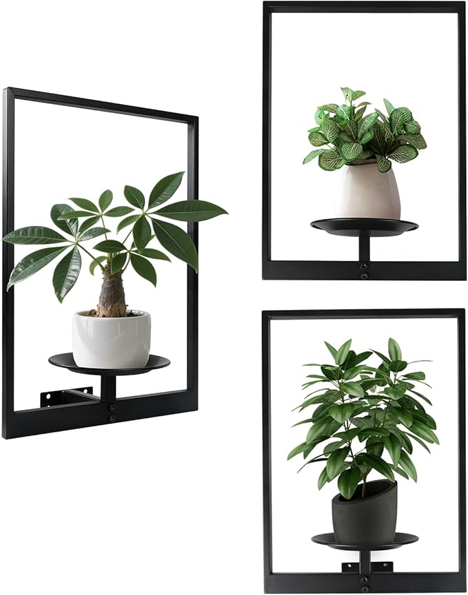 Plant Wall Shelf, Metal Modern Style Frame, Picture Wall Plant Holder, Plant Frames for Living Space Decor Display Stand for Living Room Balcony Garden Patio (3 PACK(BLACK ))