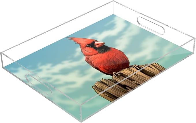 Qilmy Red Bird Acrylic Serving Tray with Handles 15.7 x 11.8 Inch, Clear Reusable Decorative Tray, Multi-Purpose Spill Proof Table Tray for Party, Coffee, Bathroom, Kitchen, Office