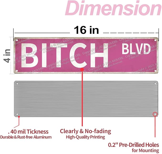 "Bitch Blvd" Pink Wall Decor Aesthetic – 16x4″ Sassy Street Signs for Bedroom | Metal Y2K Posters Decorations for Downtown Girl Room Girly Bedroom Teen College Dorm, 2367