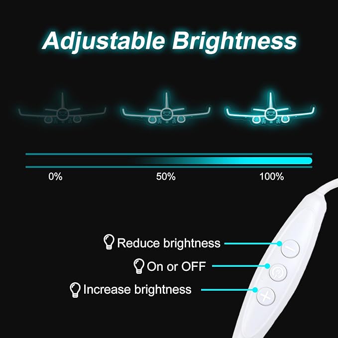 Airplane Neon Sign, Handmade LED Light, Airplane Wall Decort, Gifts for Pilot, Aviation Lover Gift, Kids Room Decor, 16.5"x6.5", Ice Blue