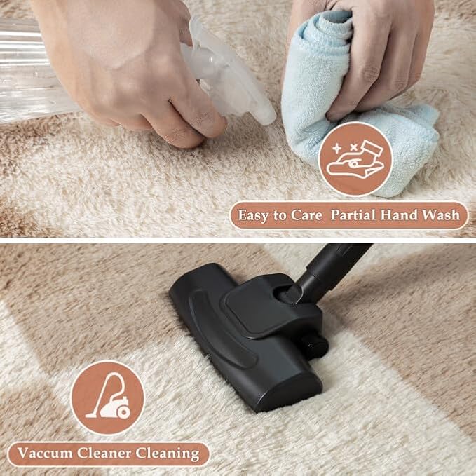 PureCozy Checkered Rug 4x6 for Living Room, Modern Neutral Shag Rug Super Soft Washable Fluffy Rugs Indoor Fuzzy Carpet for Bedroom Home Dorm Aesthetic Decor