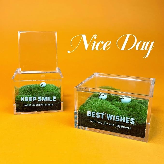 KissYou Acrylic Box with Lid Clear Hinged Lid Box Acrylic Storage Contanier Coffee Pod Holder Organizers Accessories Graduation Party Decoration