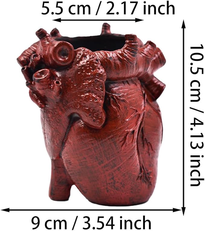 Small Human Heart Organ Shape Pen Holder Home Office Desk Storage Resin Decor, Makeup Brush Holder, 4.1" x 3.5", Red