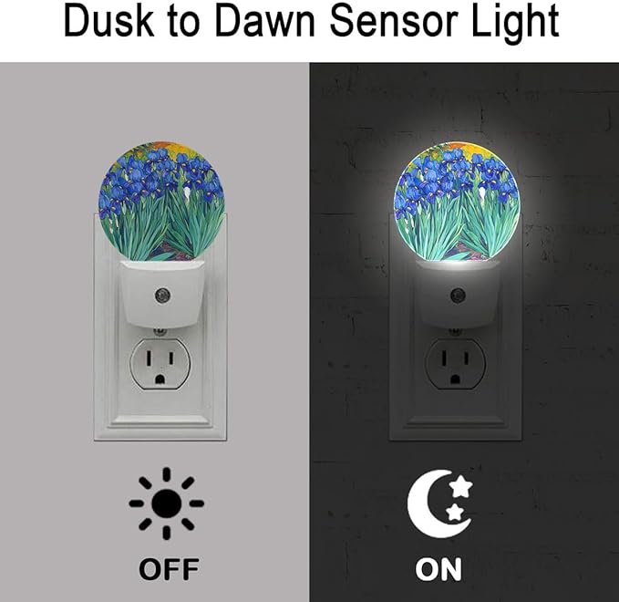 Blue Flower Oil Painting Night Light Plug Into Wall Auto Led Sleep Round Lamp for Living Room Hallway Stairs