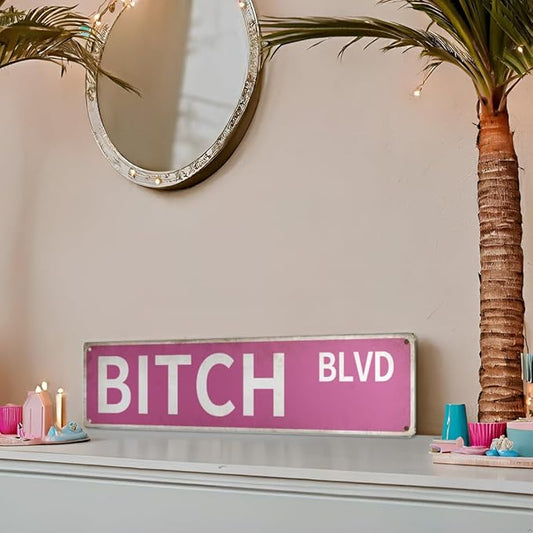 "Bitch Blvd" Pink Wall Decor Aesthetic – 16x4″ Sassy Street Signs for Bedroom | Metal Y2K Posters Decorations for Downtown Girl Room Girly Bedroom Teen College Dorm, 2367