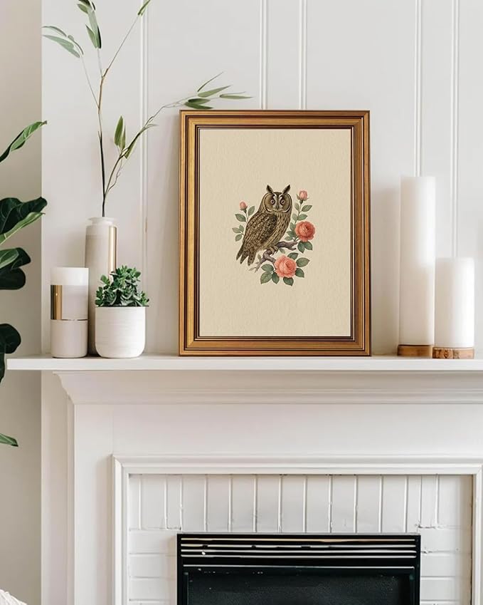 InSimSea Gold Framed Canvas Prints Wall Art, Vintage Birds Decor, Birds Owl Roses Paintings Farmhouse Wall Decor Aesthetic, Antique Minimalist Pictures for Bedroom Living Room Shelf, 12x16inch