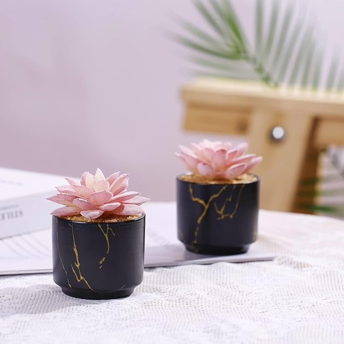 ZENIDA Succulent Artificial Plants,Cute Fake Succulents in 2 Black Ceramic Pots,Small Fake Plants for Office,Table,Desk,Bathroom, Bedroom,Aesthetic Room Shelves Decor,Desk Decorations for Women Office