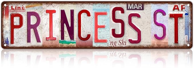 Vintage Princess St Wall Decor Street Signs Pink Room Metal Tin Signs Gife for Women Girl 16 x 4 Inches