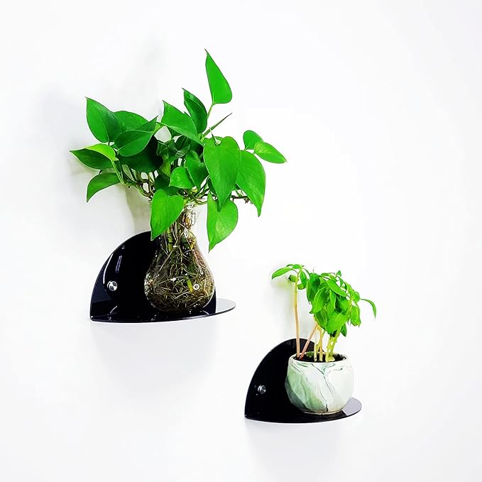 ROYALITA Small Acrylic Shelves Room Decor Floating Shelves (2-Pack, 8-inch Diameter) - Wall Mounted Display Stand for Plants, Toys, Makeup, and More - Ideal for Home and Office, Black