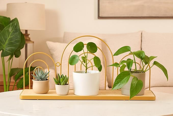 Urban Lifestyle Gold Iron Scallop Shelf, Modern Decorative Floating Wall Shelf with Wooden Base,Boho Arch Design Organizer for Living Room, Bedroom, or Office