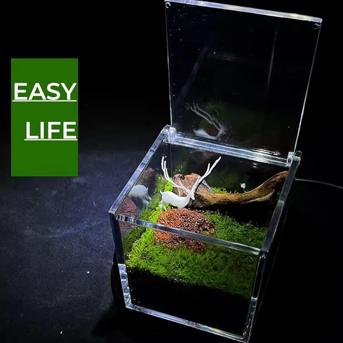 KissYou Acrylic Hinged Lid Box Plastic Display Box with Lid Small Multipurpose Storage Box for Keepsakes, Jewelry，Candy Acrylic Square Cube