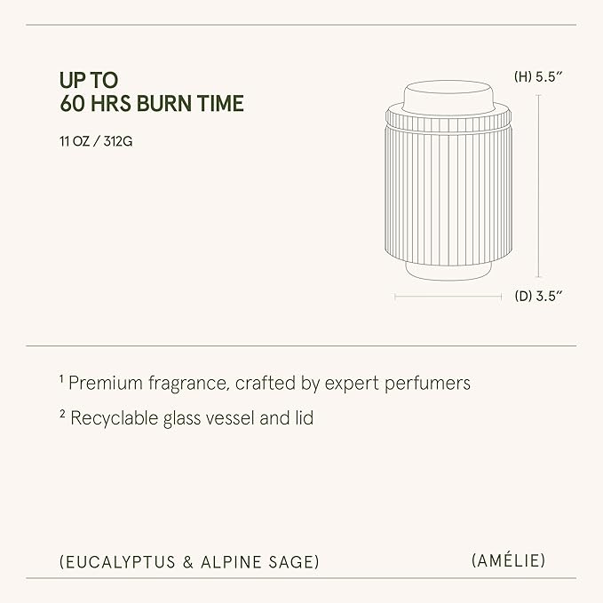 LA JOLIE MUSE Eucalyptus & Alpine Sage | Eucalyptus, Lavender & Sage Candle for Home Cleansing| 11 oz Natural Soy Wax Candle | 60 Hours Clean Burn
