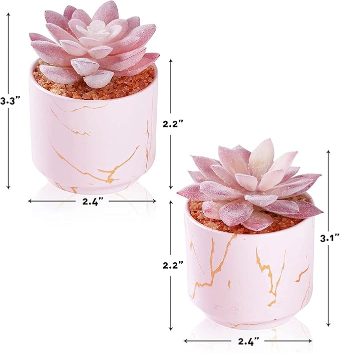 ZENIDA Succulent Artificial Plants,Cute Fake Succulents in 2 Pink Ceramic Pots,Small Fake Plants for Office,Table,Desk,Bathroom, Bedroom,Aesthetic Room Shelves Decor,Desk Decorations for Women Office