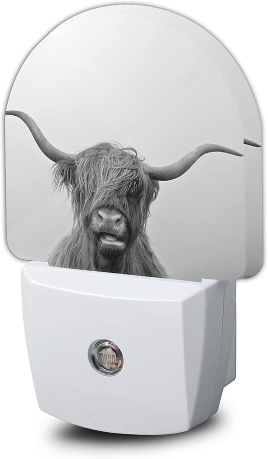 Highland Cow Night Light,Cows Night Lights Plug into Wall for Boys Girls Bedroom Decorative Half Round Nightlight Led Lamp 0.5W Sleep Friendly