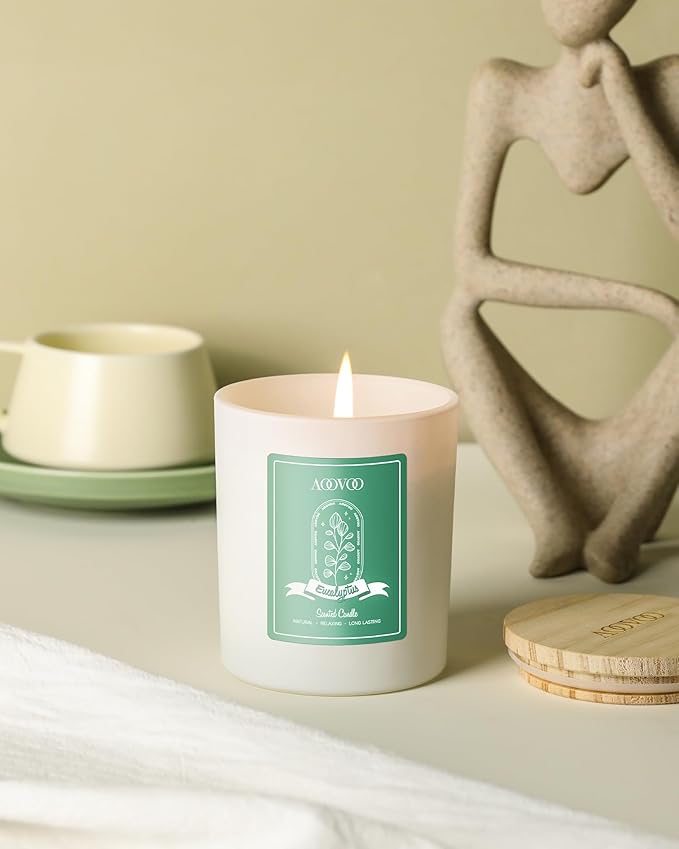 AOOVOO Eucalyptus Mint Scented Candles for Women - Aromatherapy Candle with Crystals Inside, 10oz Soy Candles for Home Scented, Birthday Gifts Mothers Day Candle for Women Mom