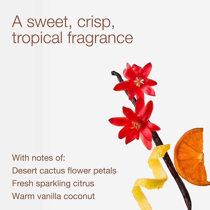 Bath & Body Works Cactus Blossom 3-Wick Candle - Scented Candle for At-Home Use - Long-Lasting, Room-Filling Fragrance - High Fragrance Oil Concentration - Soy Wax Blend