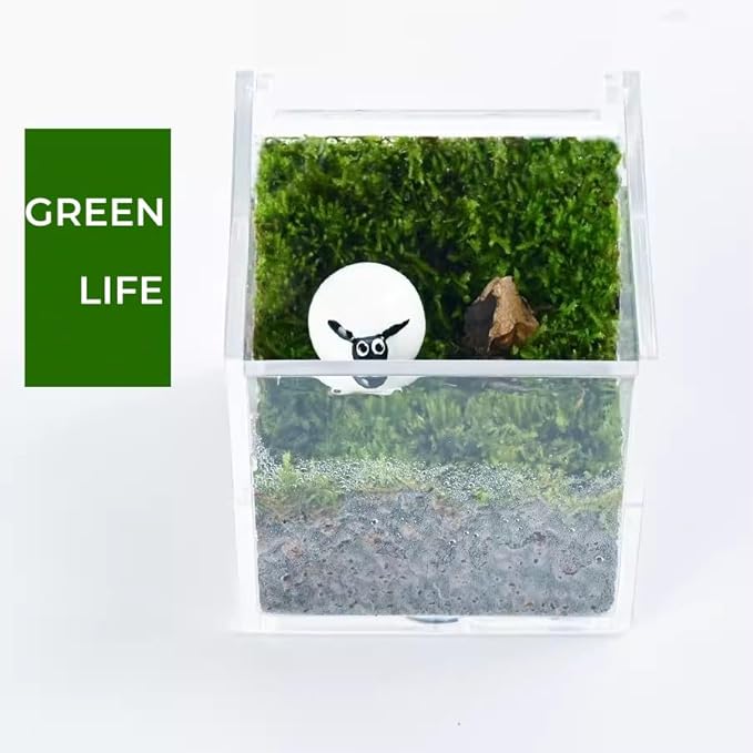 KissYou Acrylic Box with Lid Clear Square Cube Face Towel Storage Box Desk Organizers Aesthetic Hair Accessories Gift Box