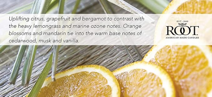 Root Candles Scented Candles in Travel Tin 24-Hour Honeycomb Traveler Handcrafted Beeswax Blend Candle, 4-Ounce, Tangerine Lemongrass