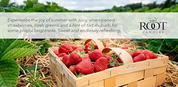 Root Candles Scented Candles in Travel Tin 24-Hour Honeycomb Traveler Handcrafted Beeswax Blend Candle, 4-Ounce, Strawberry Fields
